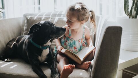 Das sind die kinderfreundlichsten Hunde