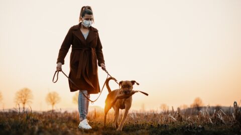 Corona: Hunde erhöhen Risiko einer Corona-Infektion um 75 %