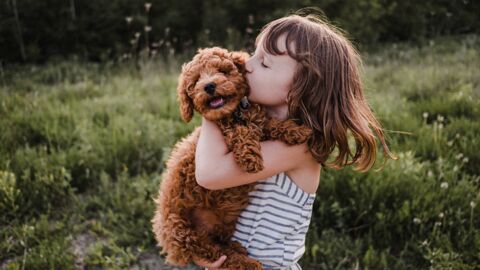 Hunde: Diese Rassen sind am kinderfreundlichsten