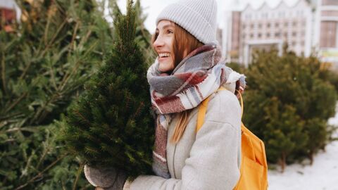 O Tannenbaum, o Tannenbaum: Das alles musst du wissen, wenn es um deinen Weihnachtsbaum geht