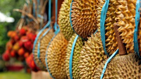 Exotische Früchte, die du trotz Globalisierung noch nie gesehen hast