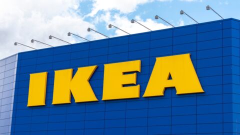 Falschdeklaration bei Ikea: Jetzt wird gegen illegale Rodung ermittelt