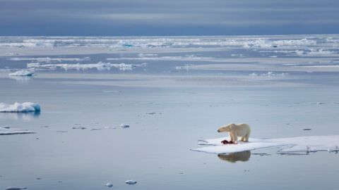 Umweltschutz im Alltag: 15 Dinge, die jeder gegen den Klimawandel tun kann