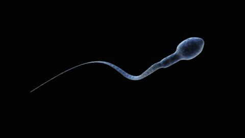 8 Dinge über Sperma, die du unbedingt wissen solltest