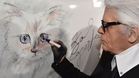 Choupette: So geht es Karl Lagerfelds Katze ein Jahr nach seinem Ableben