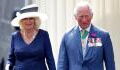 "Heimlicher Sohn" von Prinz Charles und Camilla kommt nach Großbritannien