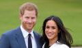 Harry und Meghan: Netflix folgt ihnen in die Niederlande