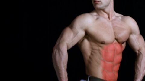 Exercice musculation abdos : Comment faire des abdominaux sautés en vidéo
