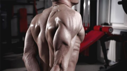 Quatre supersets pour travailler les triceps