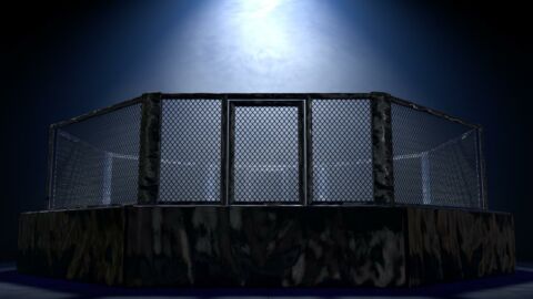 MMA : un combattant subit un KO si violent qu'il se fait éjecter à travers la cage 