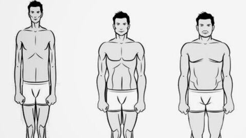 Musculation : comment vous entraîner selon votre propre morphologie