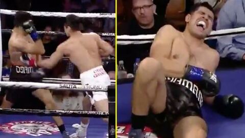 Boxe : la douleur de ce boxeur après un KO en bodyshot (VIDEO)