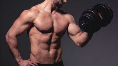 Biceps : travaillez vos biceps en profondeur avec ce workout en seulement 10 minutes !
