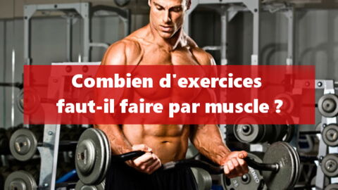 Combien faut-il faire d'exercices par muscle lors de votre entraînement ?