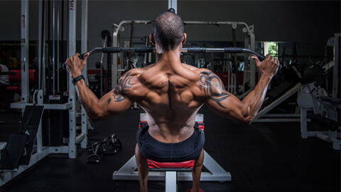 Un entraînement complet pour muscler son dos sans faire de traction