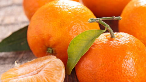 Les aliments et les boissons les plus sains à consommer durant les fêtes de fin d'année