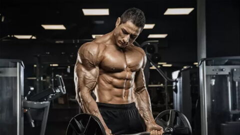 Un entraînement pour les bras efficace en seulement dix minutes