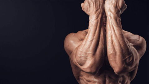 Une séance de musculation pour se forger des avant-bras en béton