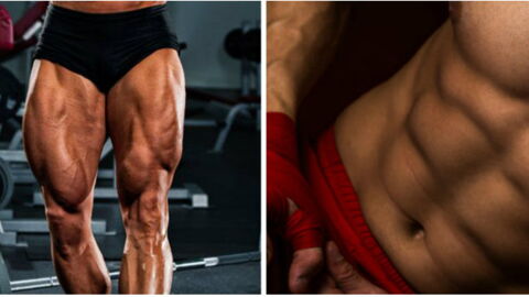 Exercice musculation abdos / jambes : Comment faire des mountain climbers sur canapé parfaits en vidéo