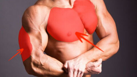 Exercice musculation triceps : Comment faire des dips avec deux chaises parfaits en vidéo