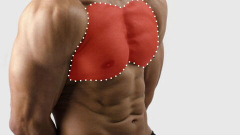 Exercice musculation pectoraux : Comment faire des pompes inclinées sur canapé parfaites en vidéo