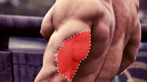 Exercice musculation triceps : Comment faire des dips sur canapé parfaits en vidéo