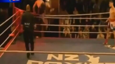 Insolite: Un boxeur devient totalement fou après un K.O.
