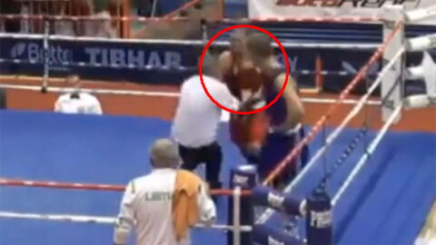 Un jeune boxeur croate agresse violemment un arbitre suite à sa défaite