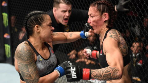 UFC 232 : Amanda Nunes choque le monde et termine Cris Cyborg en moins d'une minute