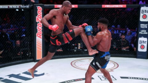 Bellator 216 : Michael Venom Page s'impose par décision unanime contre Paul Daley