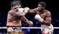 Boxe : Anthony Joshua récupère ses ceintures face à Andy Ruiz