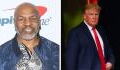 Mike Tyson : "tu te tapes ma femme ?", quand Donald Trump passe proche du KO par le boxeur