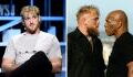 "Il est sénile...", Logan Paul s'emporte sur Mike Tyson avant le combat contre Jake Paul