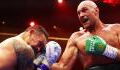 Combien ont gagné Tyson Fury et Oleksandr Usyk pour leur combat ?