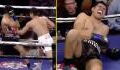 Boxe : la douleur de ce boxeur après un KO en bodyshot (VIDEO)
