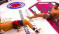 Un double KO en MMA (VIDEO)