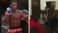 Un inconnu un peu trop confiant défie un combattant pro de MMA, ça tourne au KO
