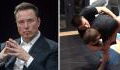 Les 1ères images d'Elon Musk à l'entrainement pour son combat de MMA contre Zuckerberg dévoilées