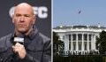 Dana White en dit plus sur l'UFC à la Maison Blanche