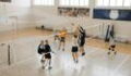 Volley-ball : les exercices de musculation pour progresser