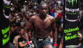 William Gomis de retour à l'UFC le 1 mars 2025 face à un invaincu