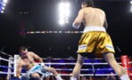 Nico Ali Walsh : l'incroyable nouveau KO du petit-fils de Mohamed Ali contre Ibarra (VIDEO)