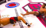Un double KO en MMA (VIDEO)