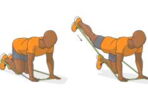 Donkey Kicks | exercice fessier : guide à la machine ou à l'élastique