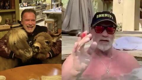 Arnold Schwarzenegger fait le show sur Instagram pendant le confinement