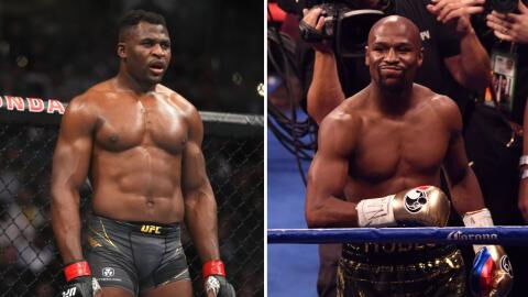 Francis Ngannou reçoit une énorme proposition de Mayweather pour son prochain combat de boxe