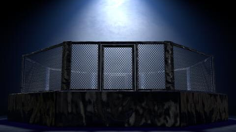 MMA : un combattant subit un KO si violent qu'il se fait éjecter à travers la cage