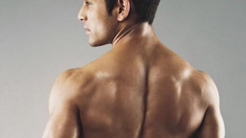 Etirement du grand dorsal : les meilleurs exercices