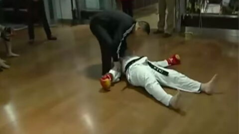 Insolite : Une opposition entre un combattant de Muay Thai et de Taekwondo se termine sur un gros KO