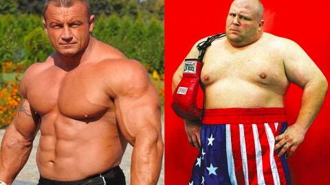 MMA : Les 10 combattants les plus gros et massifs de l'histoire